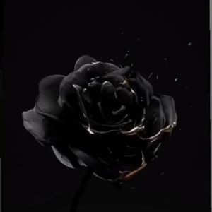 Meet your Posher, Nagerly